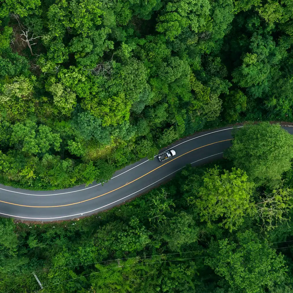 Why People Drive on Different Sides of the Road